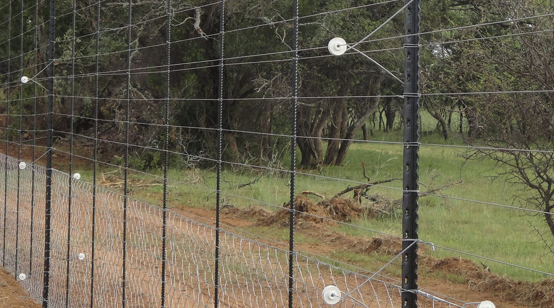 How to Choose the Best System for Security and Farm Protection