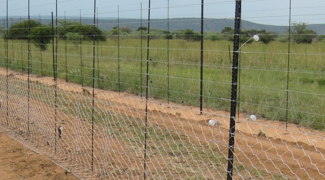 Choosing the Right Netting Wire for Farming, Fencing, and Industrial Use