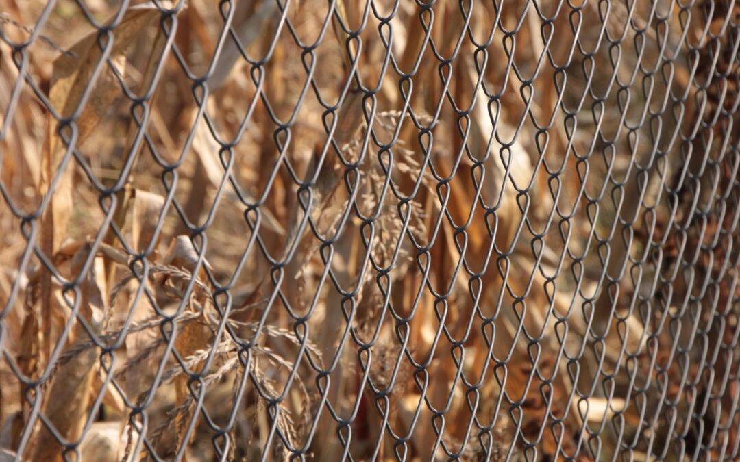 Built to Last: The Benefits of Galvanized Steel for Farm Fencing