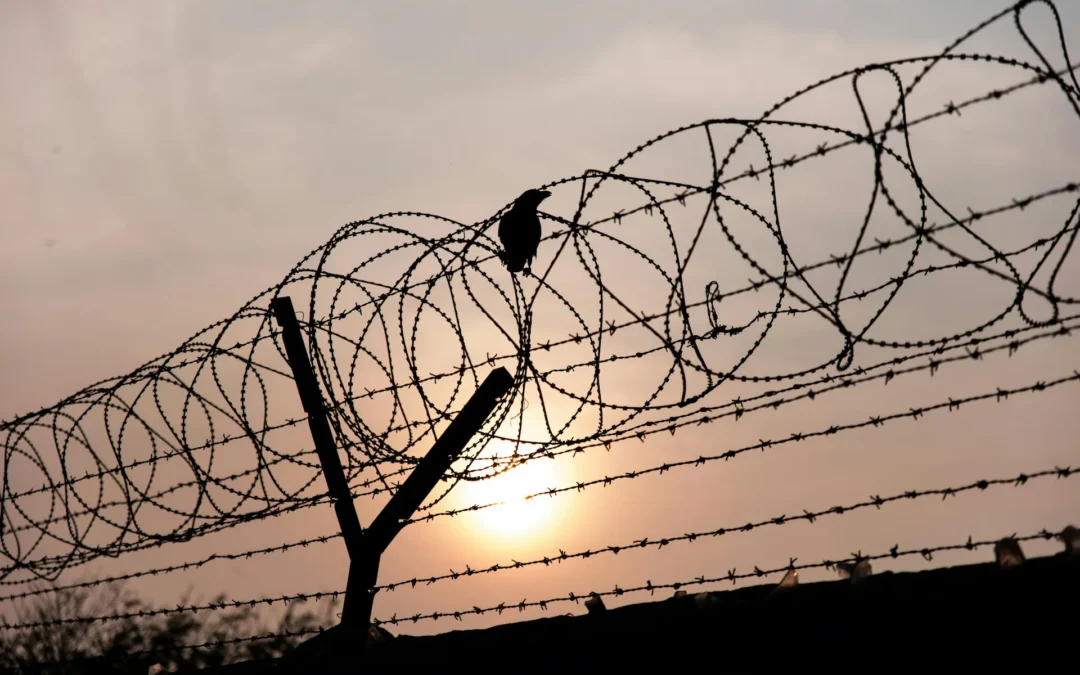 Razor Wire Fencing South Africa | Concertina & Flat-Wrap | Chemvet