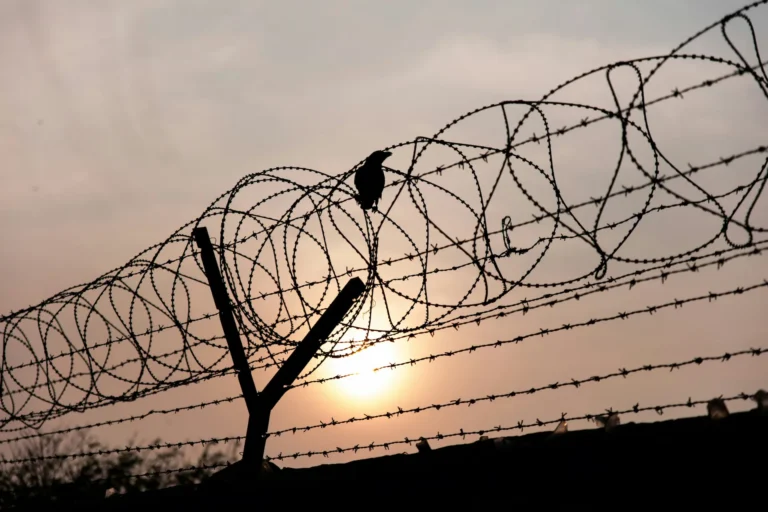 Razor Wire Fencing