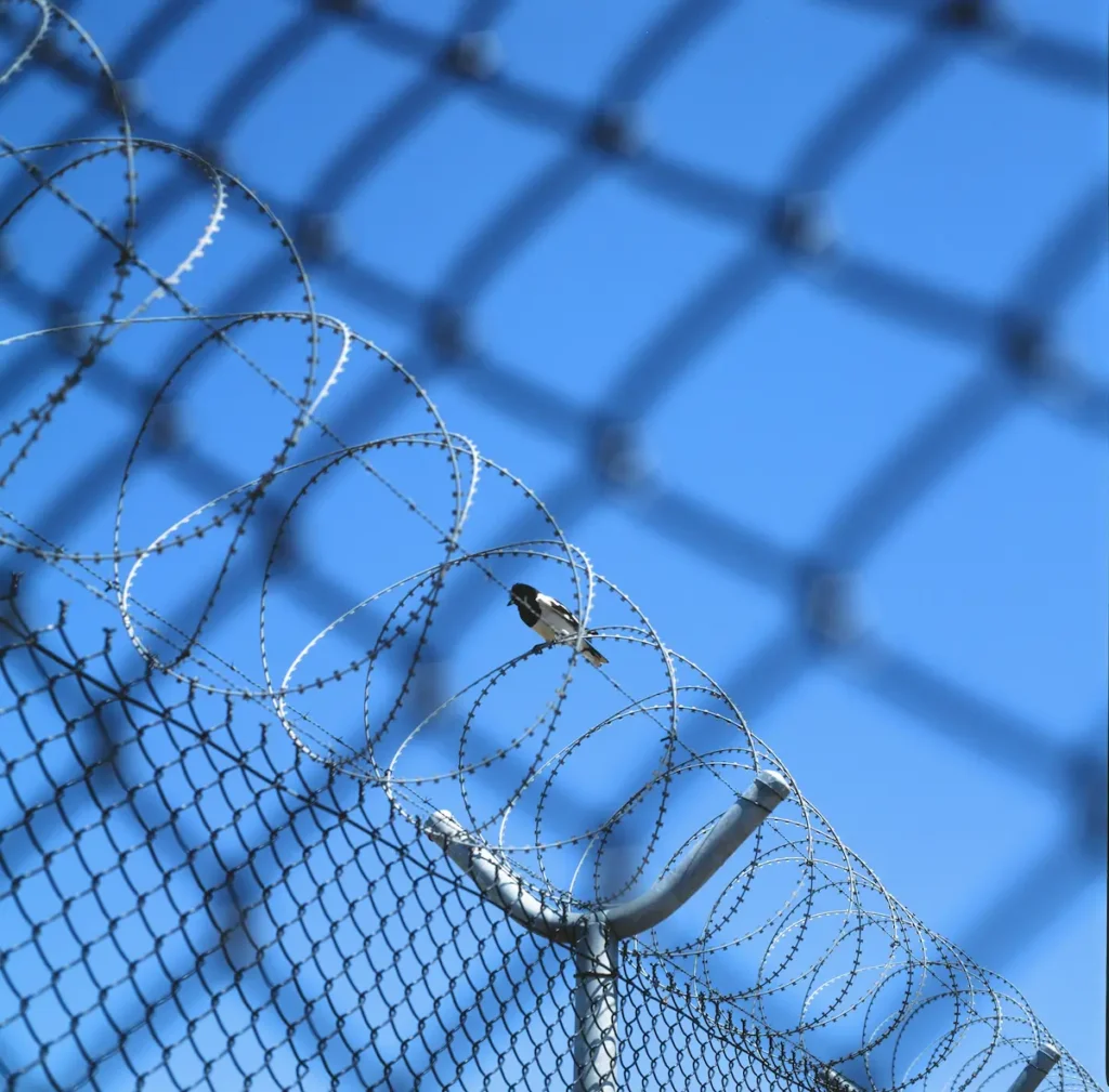 Security Fencing
