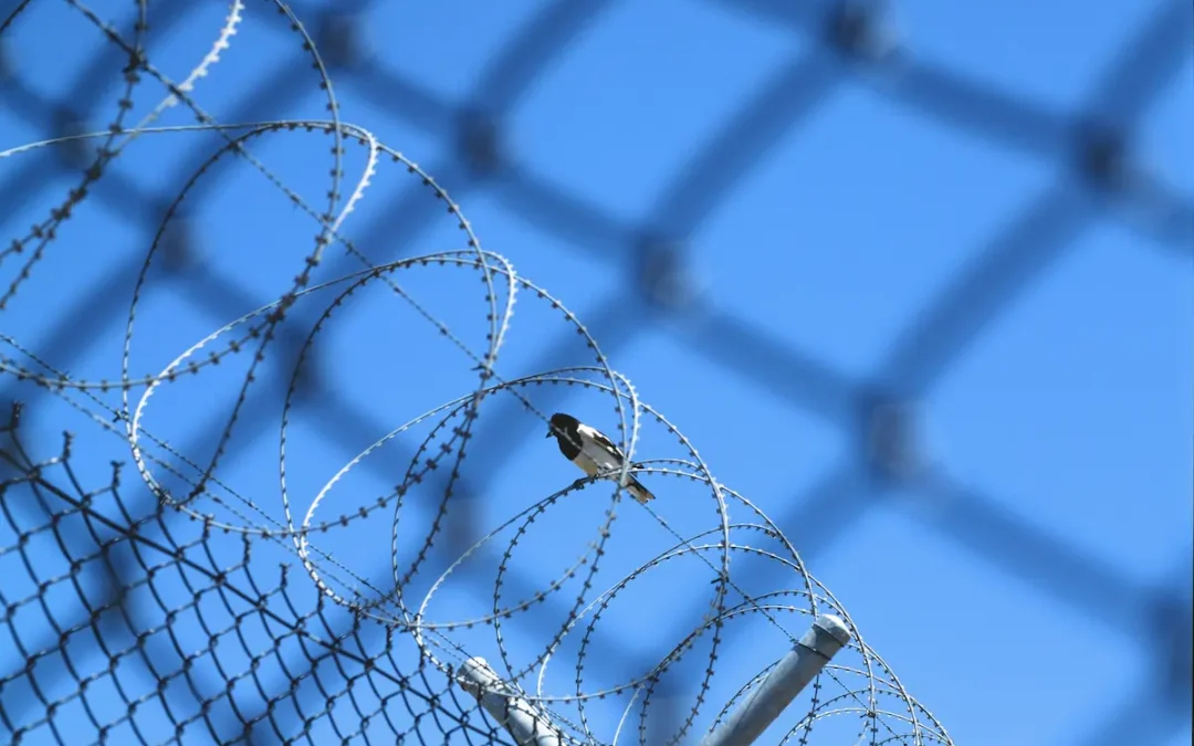 Security Fencing South Africa | Perimeter Protection